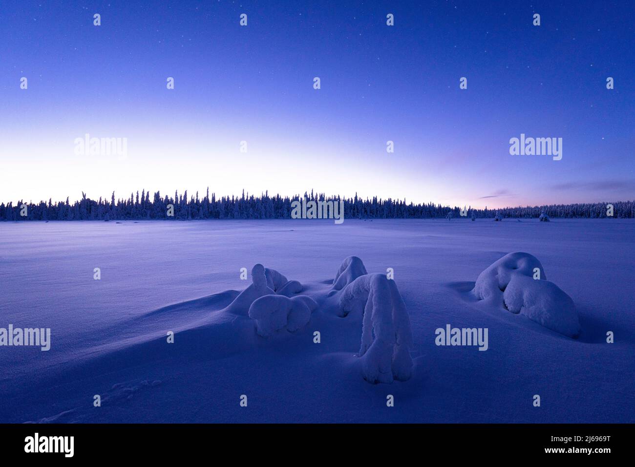 Le crépuscule arctique illumine les terres gelées couvertes de neige en hiver, Laponie, Finlande, Europe Banque D'Images