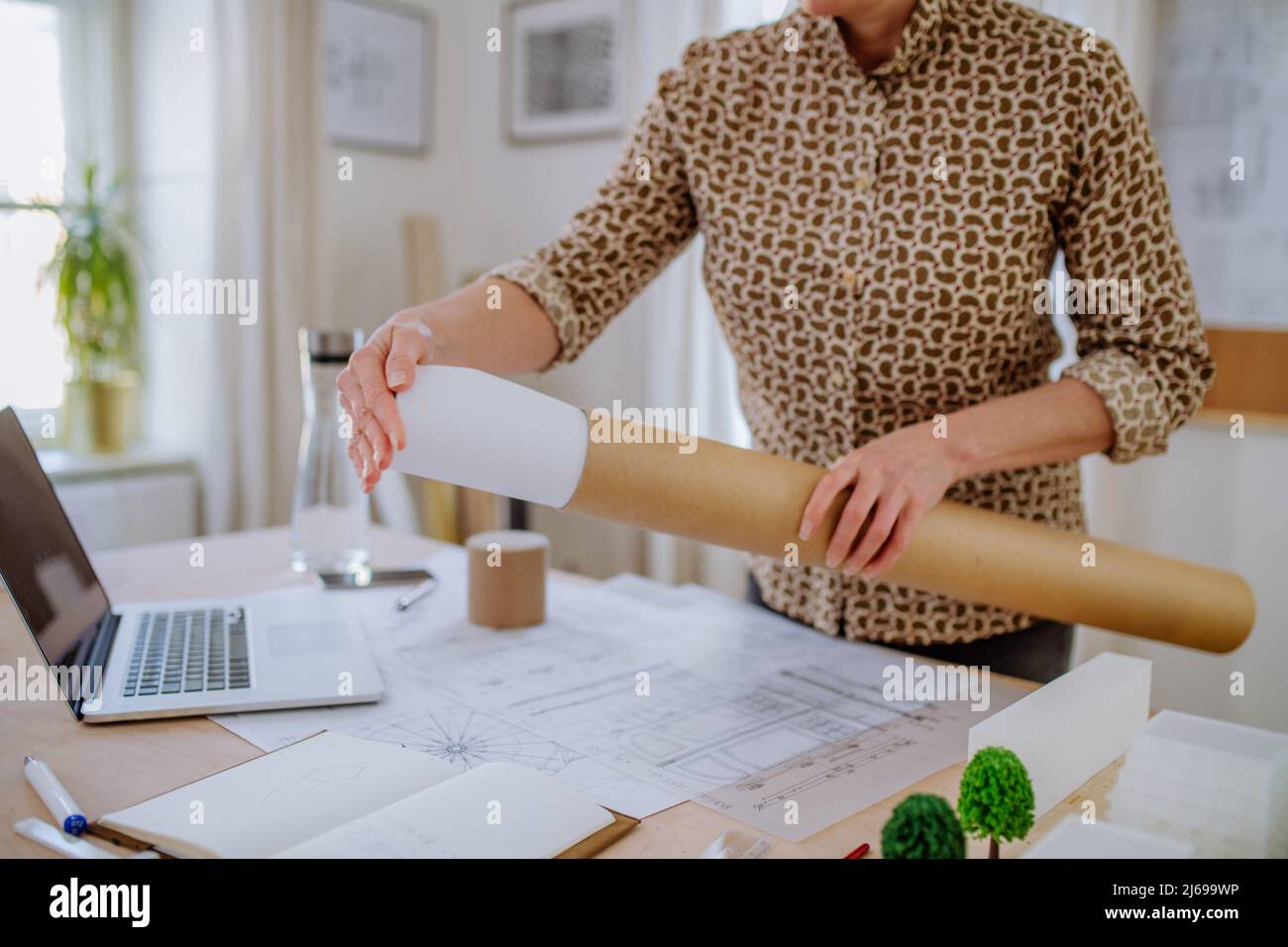 Gros plan de femme architecte mettant des plans roulés à tube dans le bureau. Banque D'Images