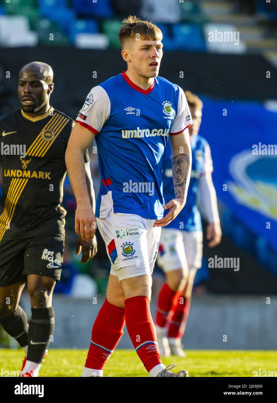 Les joueurs du Linfield football Club applaudissent les fans avant leur dernier match de la ligue de la saison contre Coleraine au Windsor Park à Belfast. Banque D'Images