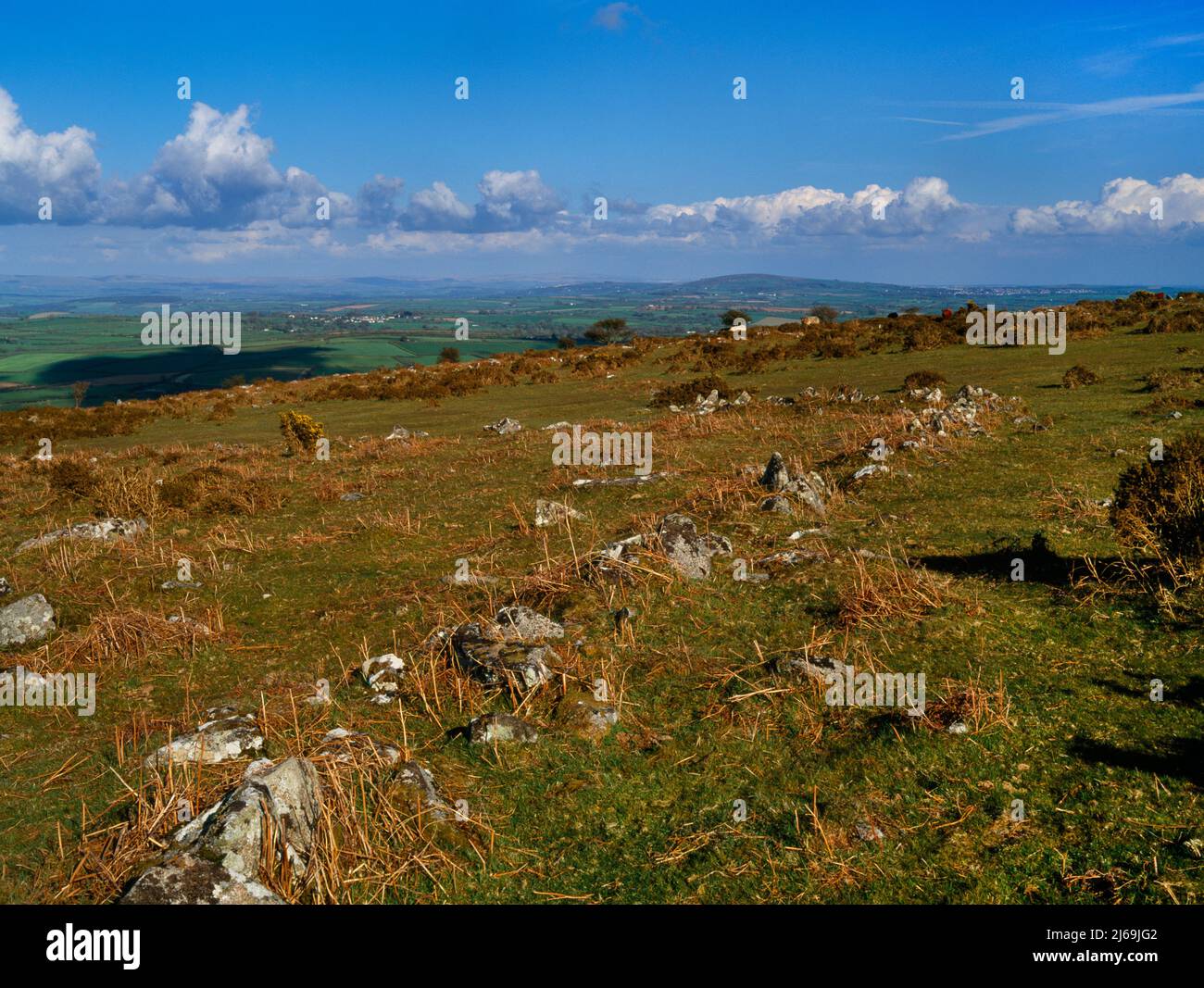 Voir l'ESE des murs en pierre sèche écrasée et surcultivée d'un champ rectangulaire de l'âge de bronze sur East Moor, Bodmin Moor, Cornwall, Angleterre, Royaume-Uni. Banque D'Images