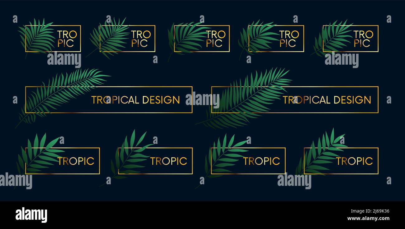 Cadres dorés de luxe avec plantes tropicales et branches de palmier, éléments vectoriels avec place pour le texte Illustration de Vecteur Cadres dorés de luxe avec plantes tropicales et branches de palmier, éléments vectoriels avec place pour le texte Illustration de Vecteur