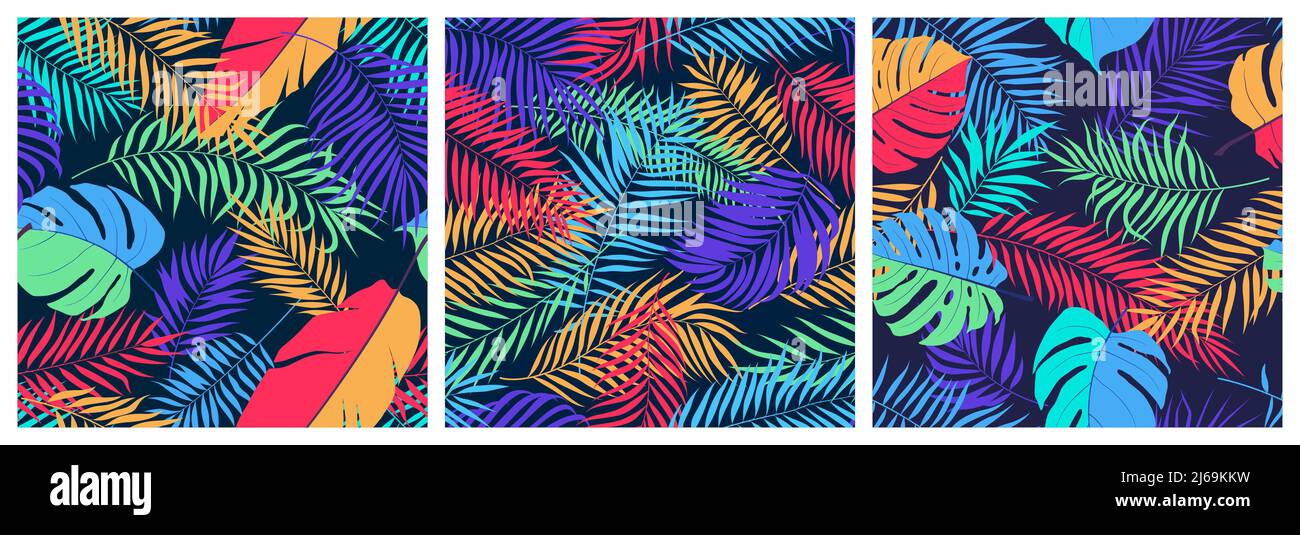 Ensemble de motifs sans couture avec des feuilles exotiques colorées de monstère, bananier et branches de palmier, des fonds tropicaux vectoriels à la mode et lumineux Illustration de Vecteur Ensemble de motifs sans couture avec des feuilles exotiques colorées de monstère, bananier et branches de palmier, des fonds tropicaux vectoriels à la mode et lumineux Illustration de Vecteur
