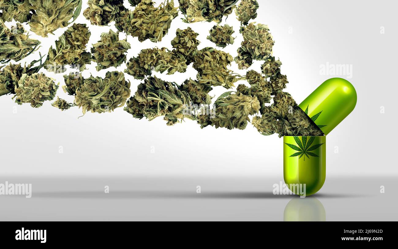 Marijuana médicale concept de soins de santé avec la capsule de pilule de médecine de pharmacie avec le cannabis médical légal comme métaphore pour la thérapie alternative. Banque D'Images