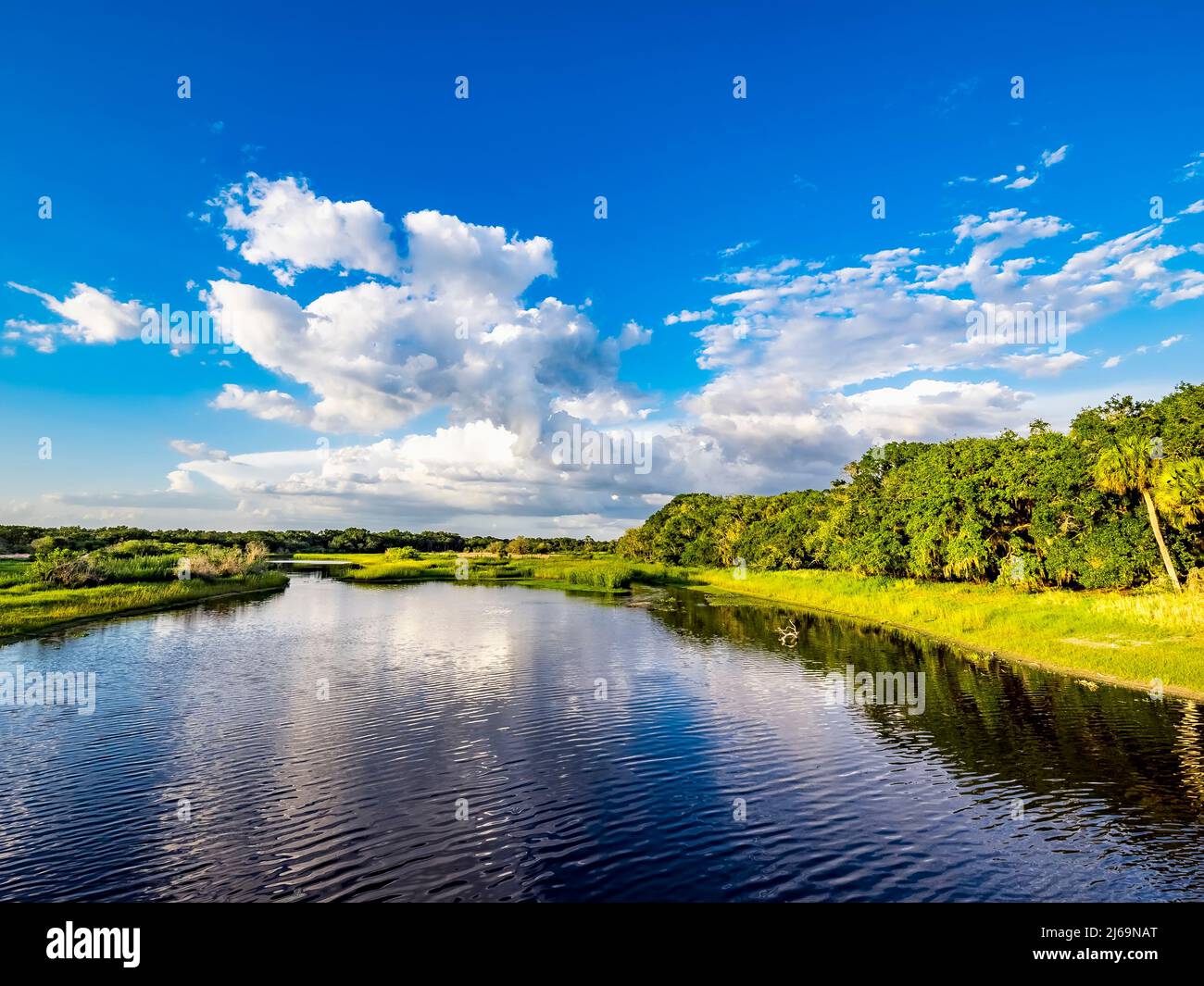Ciel bleu avec de grands nuages au-dessus de Myakka River State Park à Sarasota Floirida USA Banque D'Images