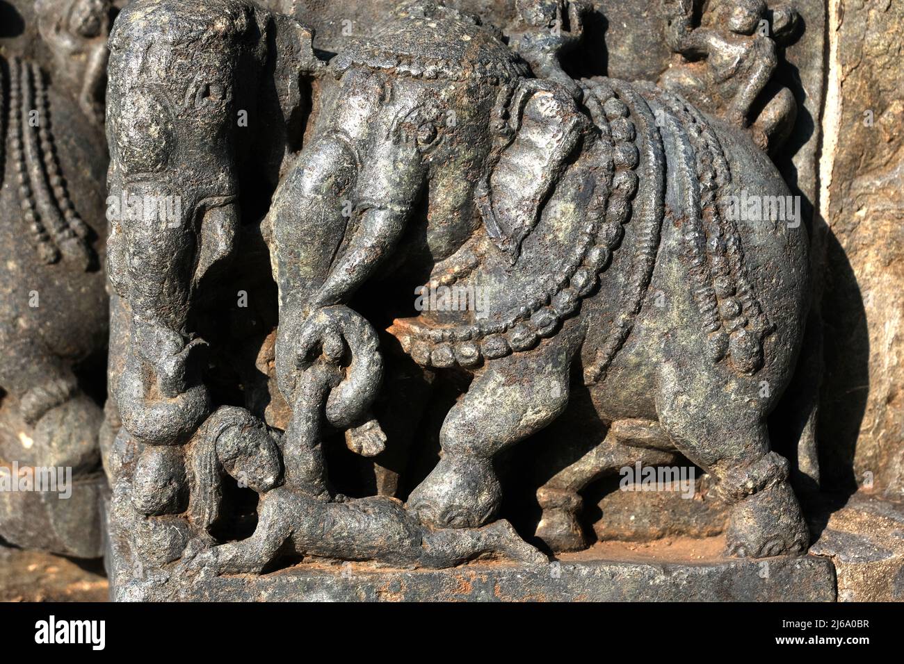 Sculptures sur les murs extérieurs du temple Hoysaleswara à Halebidu, l'ancienne capitale du Hoysala, Karnataka. Banque D'Images