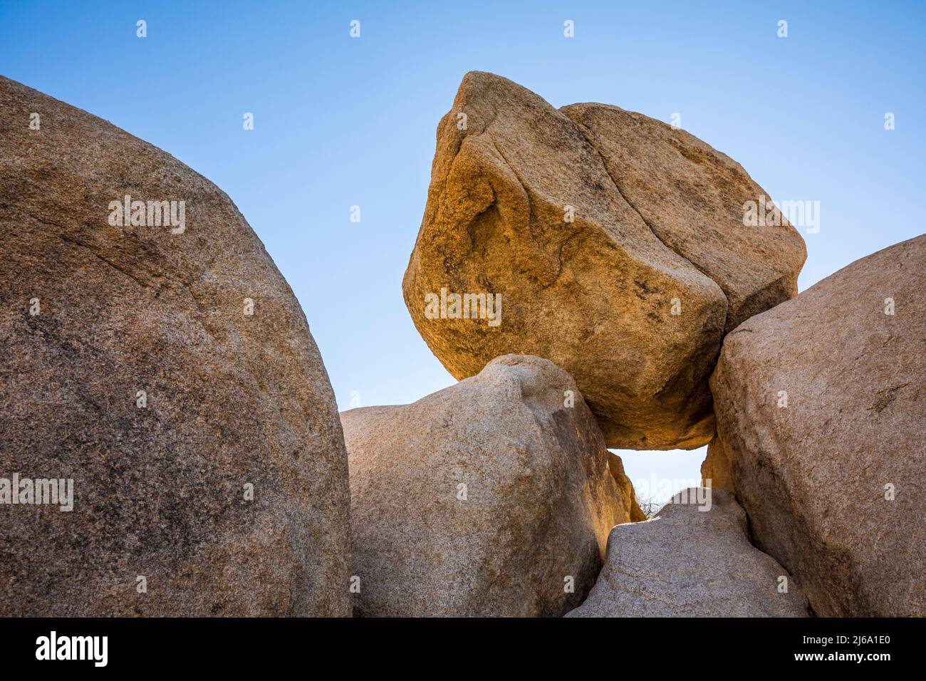 Un poulders se trouve au-dessus d'une ligne de crête dans un canyon près d'Indian Cove et de Rattlesnake canyon zone d'utilisation de jour, le parc national de Joshua Tree. Banque D'Images