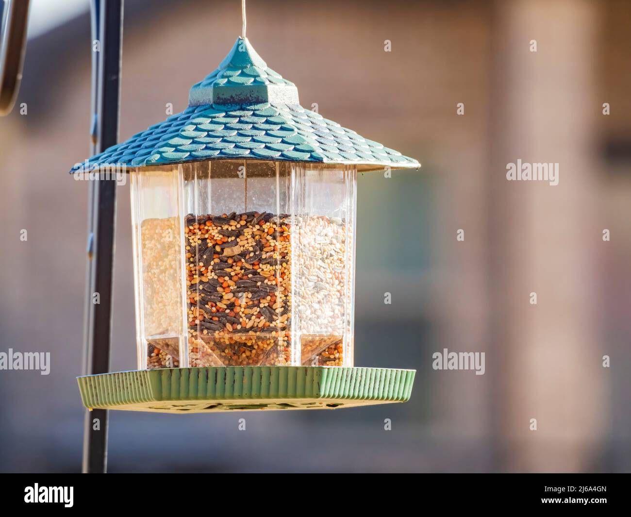Gros plan d'un mangeoire à oiseaux avec des noix à Oklahoma Banque D'Images