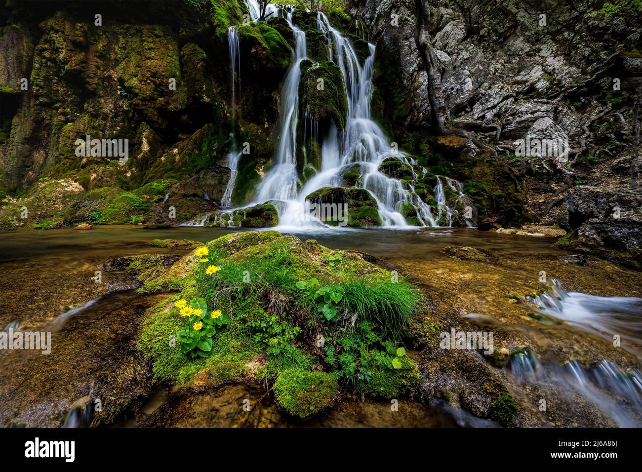 Scène de Beusnita III, une petite cascade trouvée en trekking sur le parc national des Gorges de la Nera-Beusnita. Photo prise le 17th avril 2022, près d'ora Banque D'Images