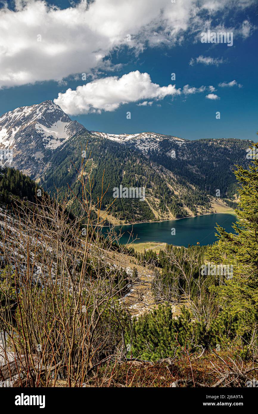 Vilsalpsee au printemps avec prairie de fleurs et montagnes dans le fond Tannheimer Tal Autriche Banque D'Images