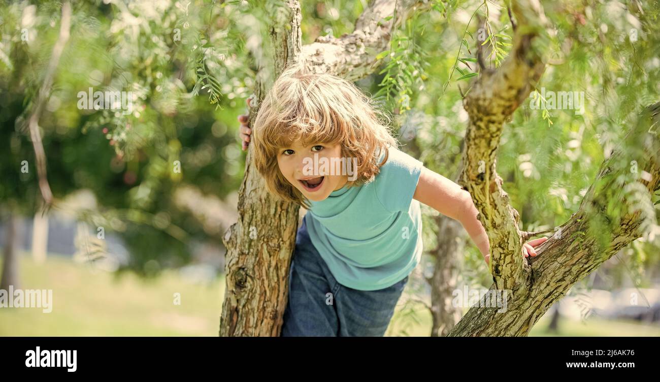 Joyeux garçon énergique enfant grimper arbre été à l'extérieur, l'escalade des arbres Banque D'Images