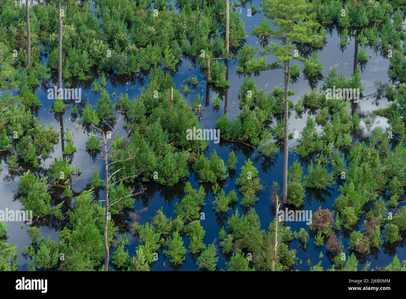 Bladen County, NC, 18 septembre 2018 -- vue aérienne des inondations de l'ouragan Florence. Banque D'Images