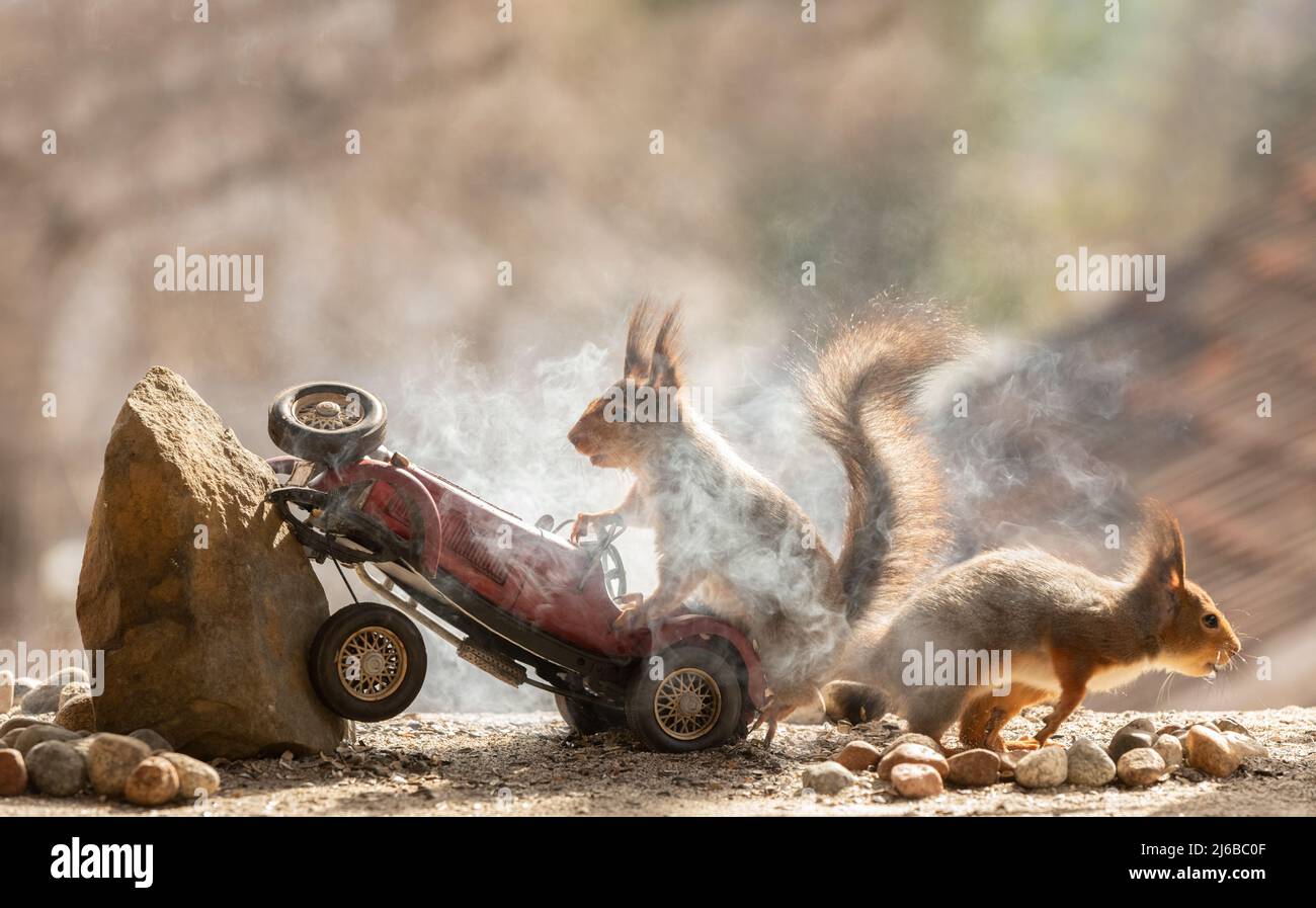 écureuils rouges avec une voiture et de la fumée Banque D'Images