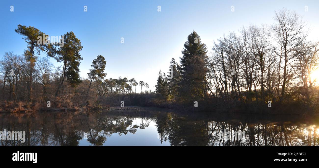 Etang de Lamoulasse en hiver (Sud-ouest France) Banque D'Images