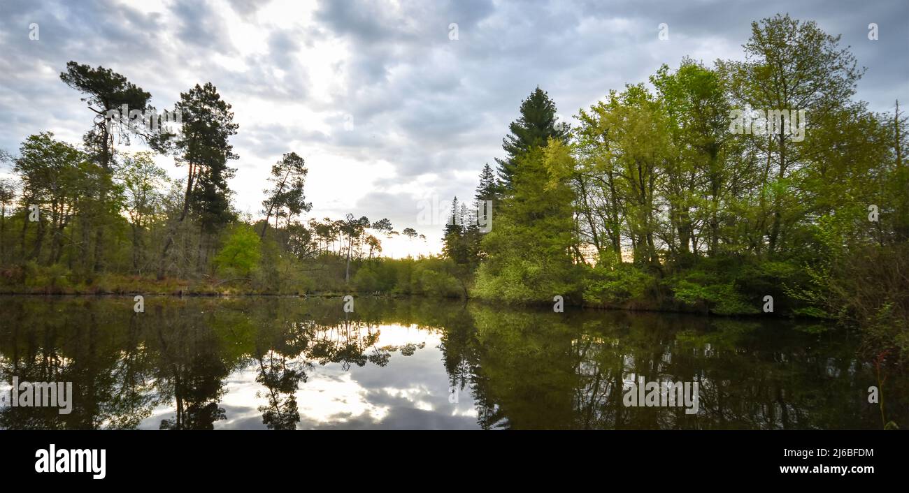 Etang de Lamoulasse au printemps (Sud-ouest France) Banque D'Images