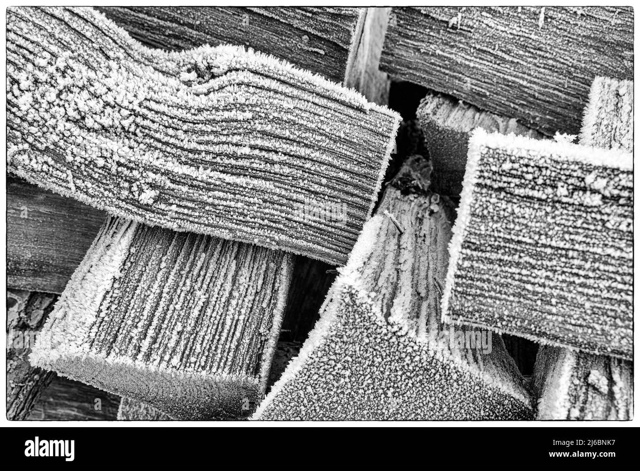 Gel blanc sur une pile de rondins givrés en début de matinée température givrée | Gélée matin - Buches givrees une cause du froid matinal Banque D'Images