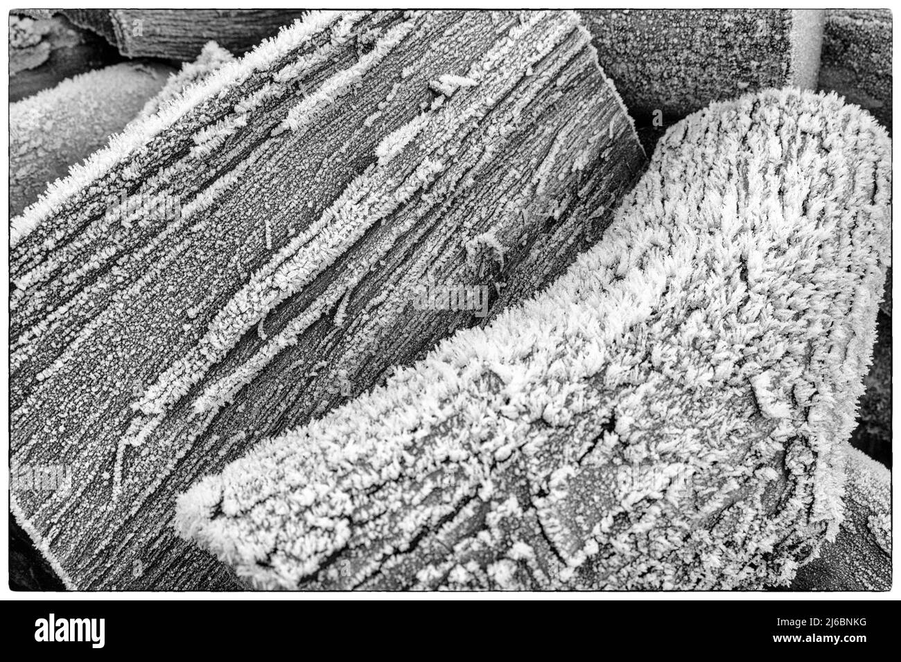 Gel blanc sur une pile de rondins givrés en début de matinée température givrée | Gélée matin - Buches givrees une cause du froid matinal Banque D'Images