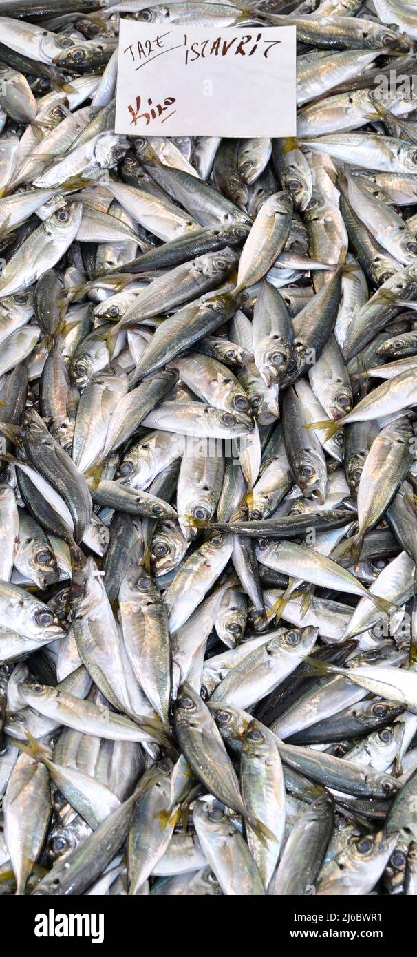 Les poissons propres sont vendus frais sur le marché du poisson, les poissons de chinchard frais, les équestres, vendus Banque D'Images