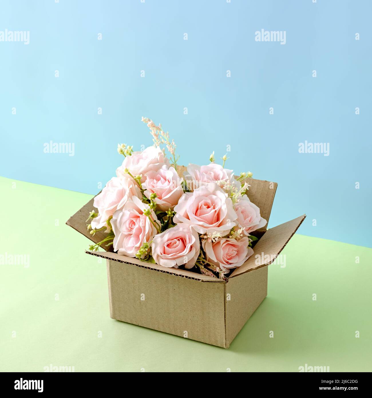 Fleurs roses roses dans une boîte de livraison en carton sur un fond pastel comme une idée pour la livraison et félicitations et un cadeau. Banque D'Images