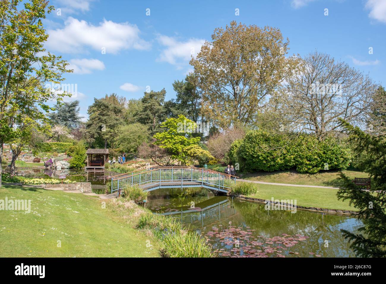 Burnby Hall Gardens Banque D'Images