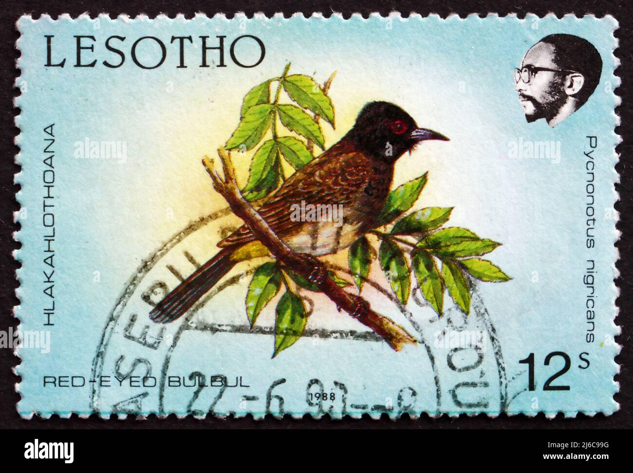 LESOTHO - VERS 1988 : un timbre imprimé au Lesotho montre le Bulbul africain à yeux rouges, Pycnonotus nigricans, Bird, vers 1988 Banque D'Images