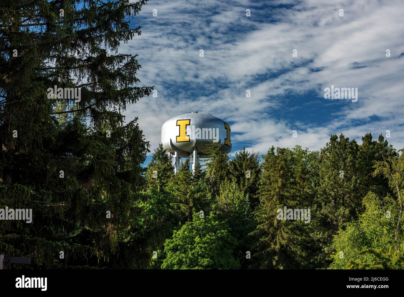 Arboretum rempli d'arbres aide à encadrer la tour d'eau de l'université Banque D'Images