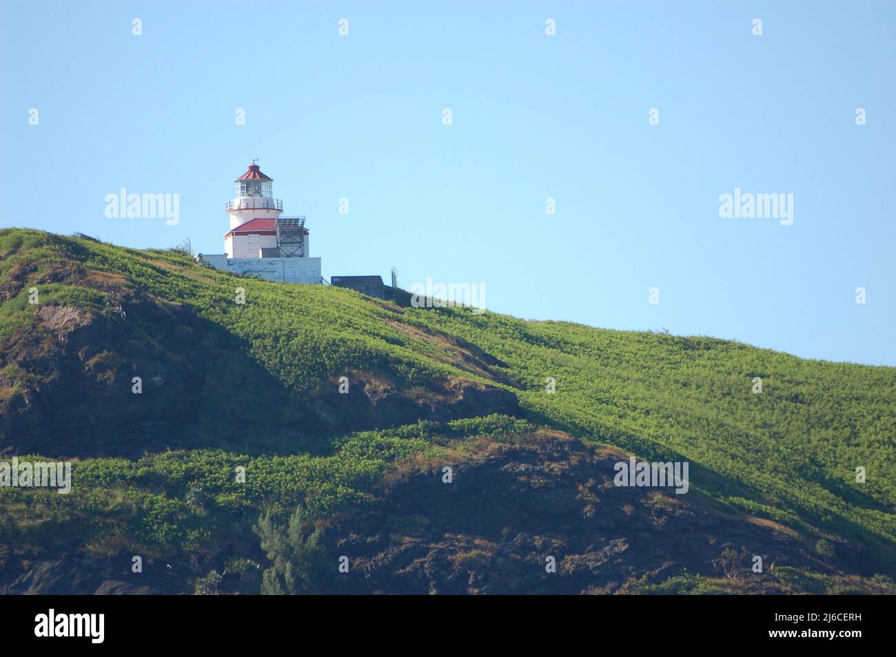 phare au sommet d'une falaise rocheuse surcultivée avec de l'herbe Banque D'Images