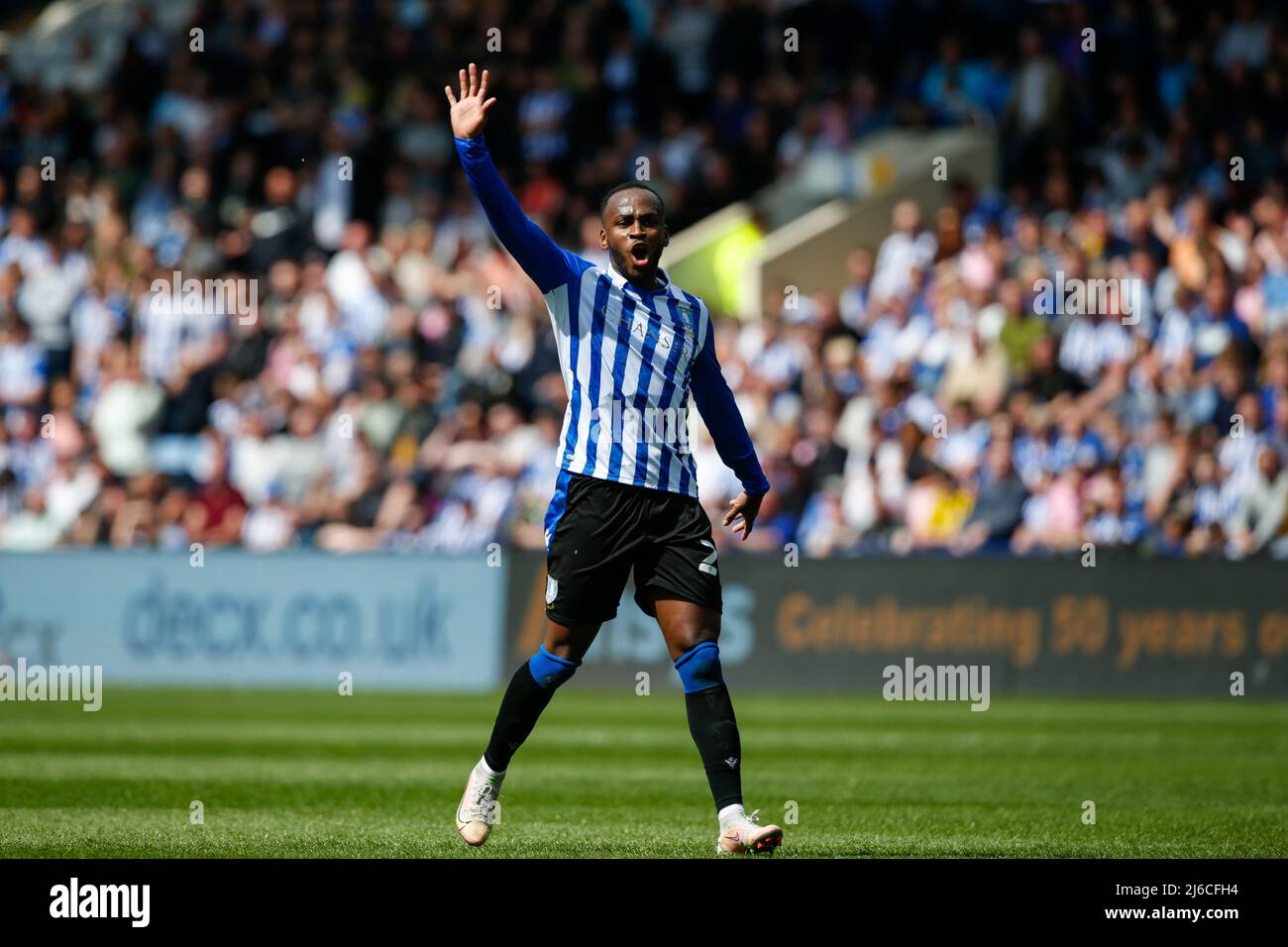 Saido Berahino #24 de Sheffield mercredi Banque D'Images