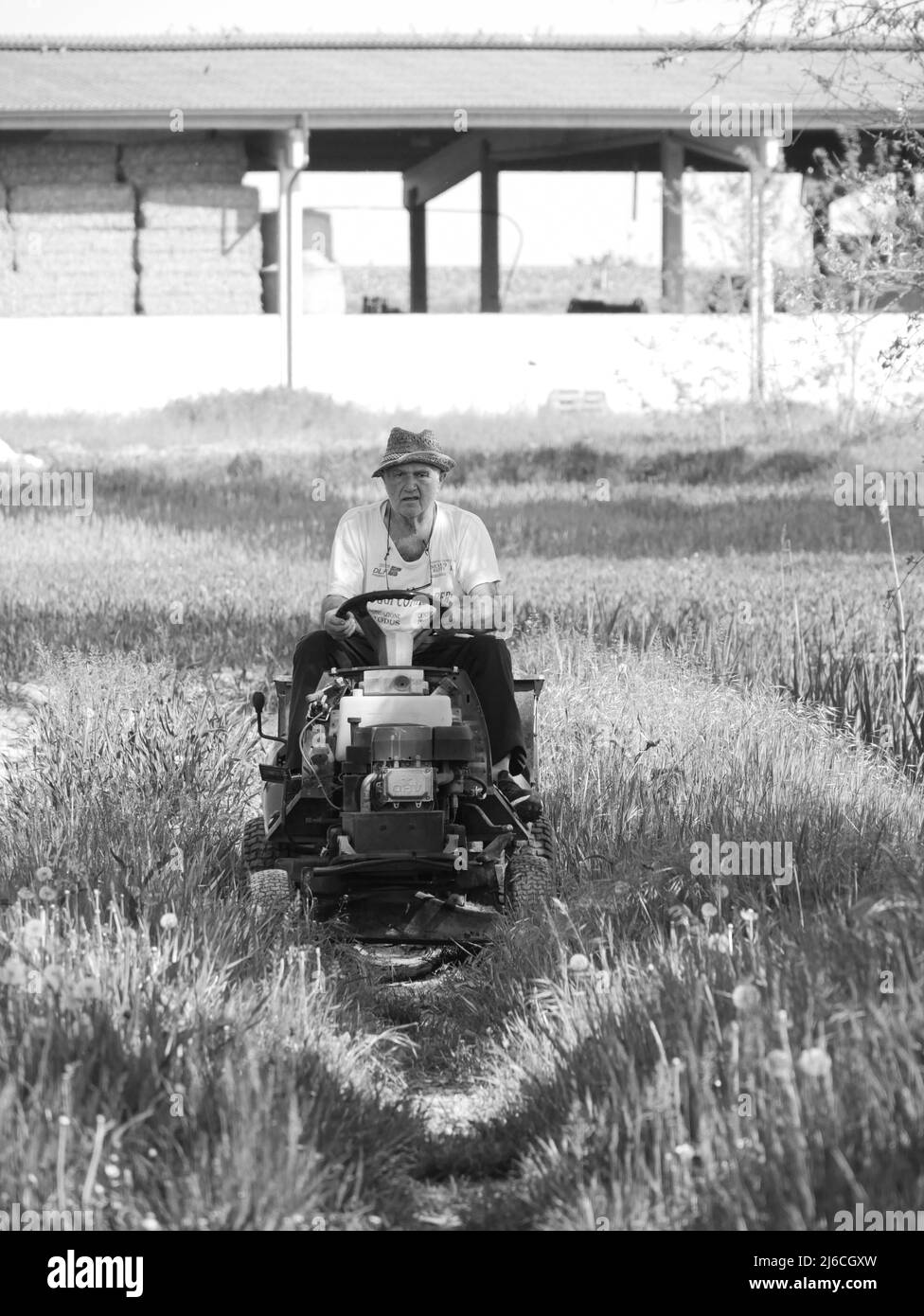 éleveur italien senior transportant des semences dans son petit tracteur dans les champs Banque D'Images éleveur italien senior transportant des semences dans son petit tracteur dans les champs Banque D'Images