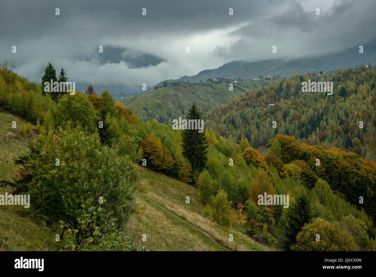 Couleurs d'automne dans les bois et les pâturages dans le parc national de Piatra Craiului, près de Magura; Carpates, Roumanie. Banque D'Images