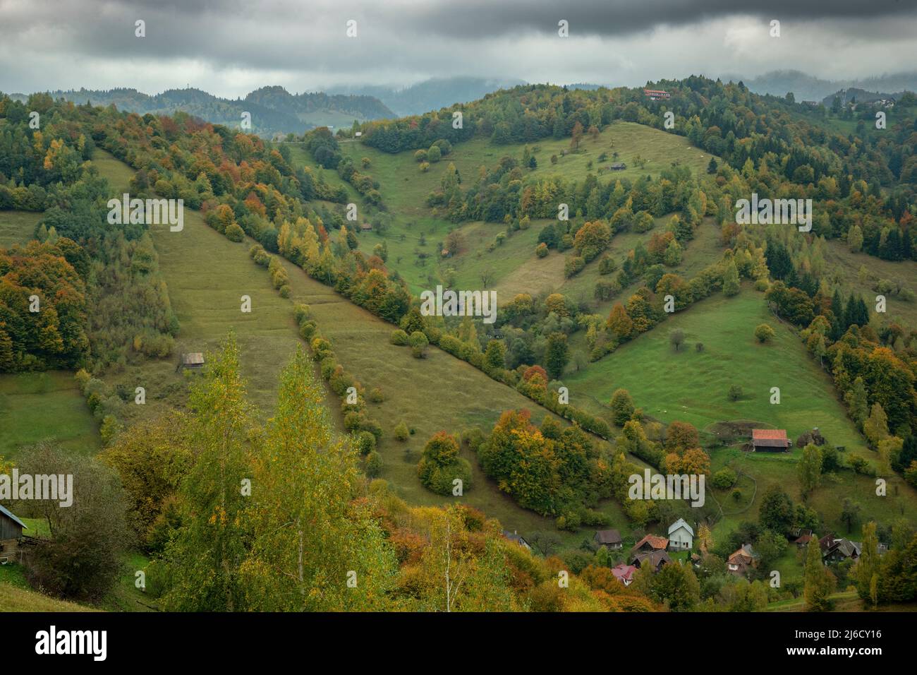 Couleurs d'automne dans les bois et les pâturages dans le parc national de Piatra Craiului, près de Magura; Carpates, Roumanie. Banque D'Images