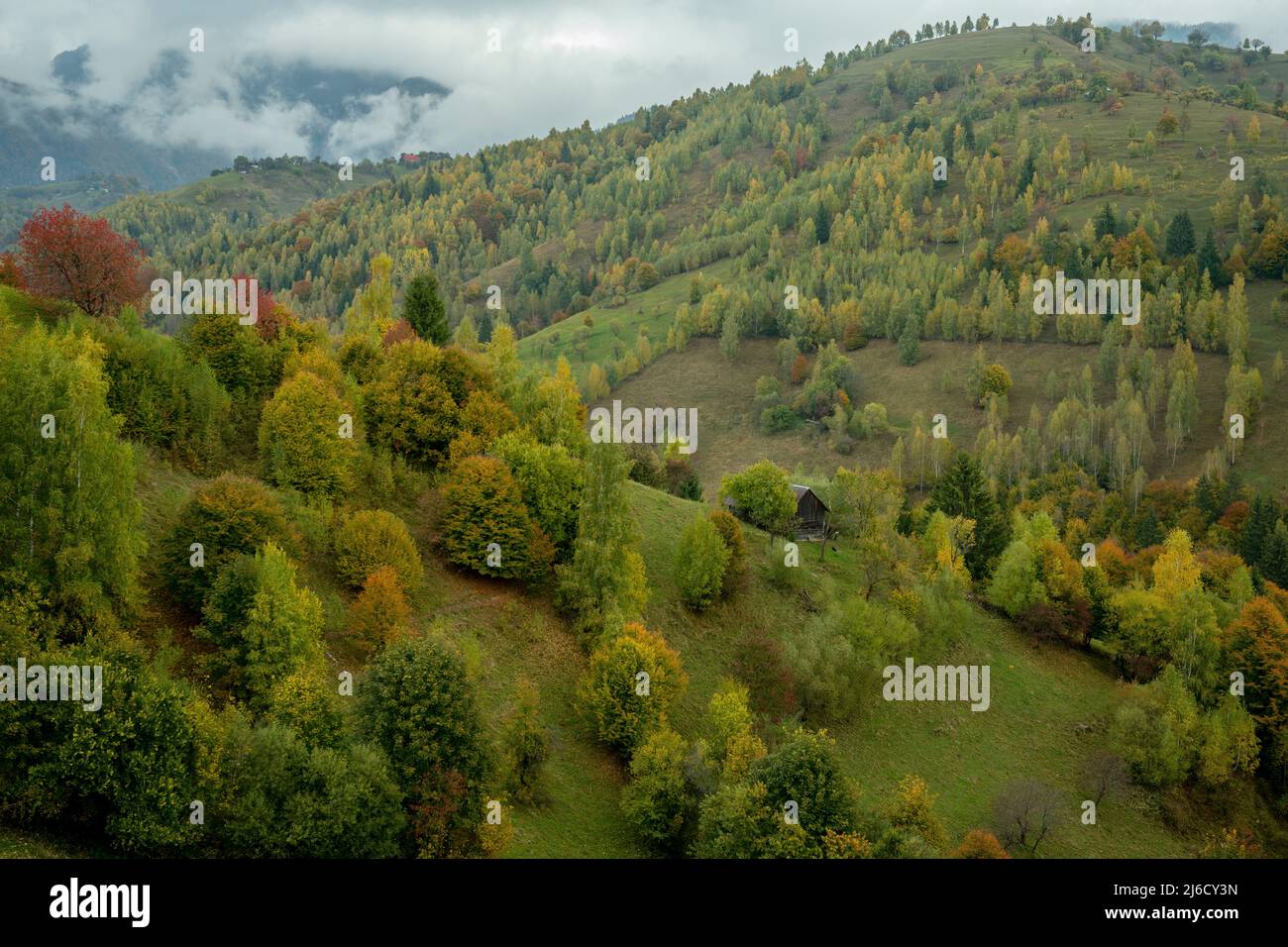 Couleurs d'automne dans les bois et les pâturages dans le parc national de Piatra Craiului, près de Magura; Carpates, Roumanie. Banque D'Images