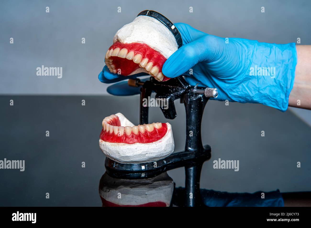 Prothèse dentaire dans les mains du médecin en gros plan.Dentiste tenant un pont dentaire en céramique.Vue avant de la prothèse complète.Pho conceptuel de la dentisterie Banque D'Images