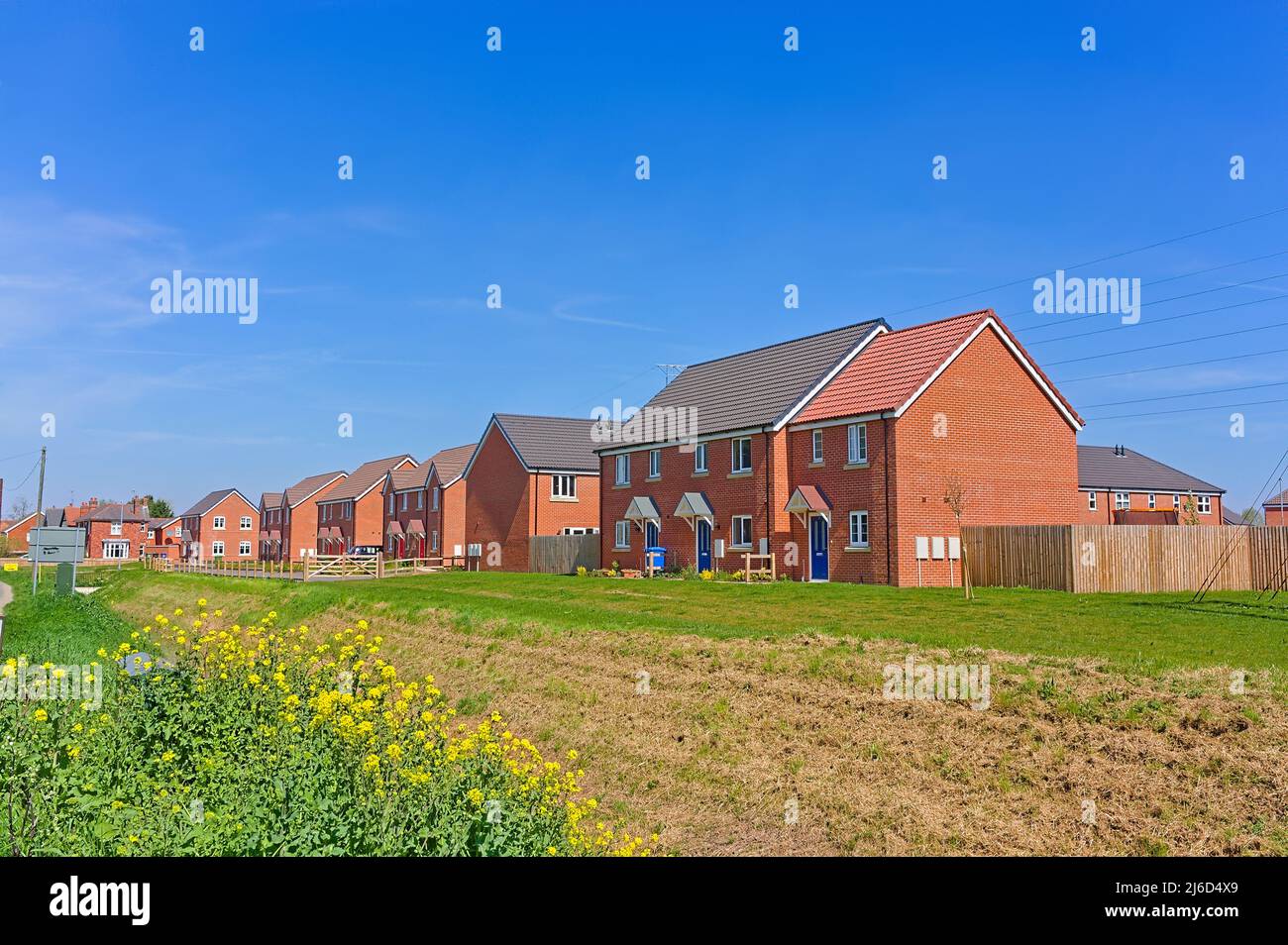 Logement social récemment construit par Longhurst avec un champ au premier plan Banque D'Images