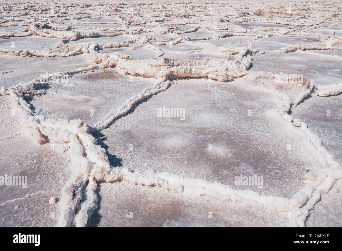 Des salées, des plaques de sel ont été réagrées sous le niveau de la mer dans le parc national de la Vallée de la mort. Gros plan sur la texture. Badwater Basin, célèbre destination touristique Banque D'Images