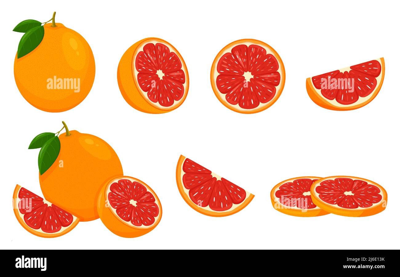 Icône pamplemousse. Mettre avec des fruits entiers, une tranche et une moitié, avec des feuilles. Illustration vectorielle isolée dans un style plat. Illustration de Vecteur