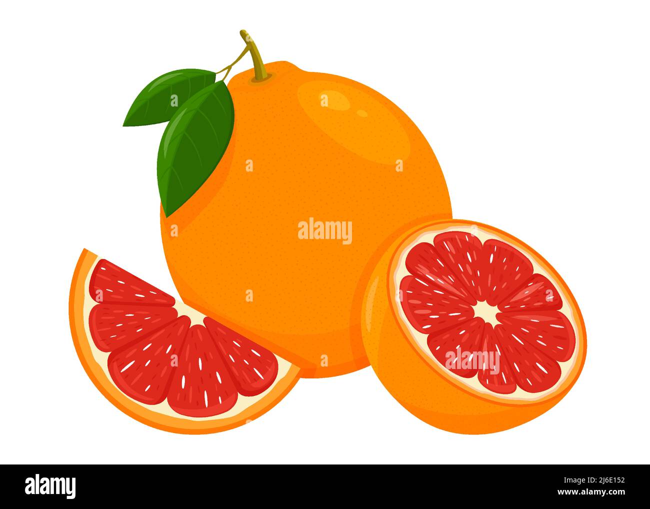 Icône pamplemousse. Mettre avec des fruits entiers, une tranche et une moitié, avec des feuilles. Illustration vectorielle isolée dans un style plat. Illustration de Vecteur