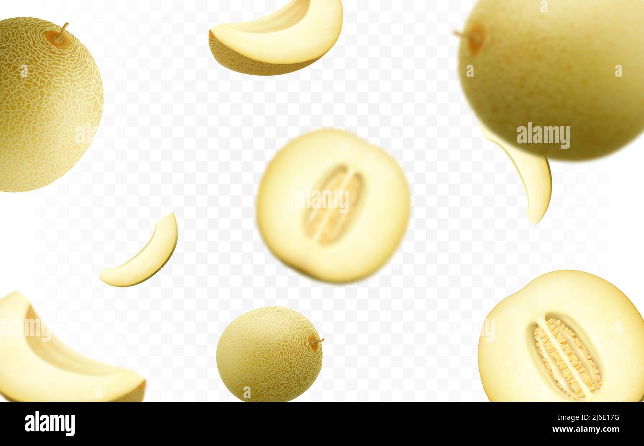 Yellow melon melons fruit Banque d'images vectorielles Alamy