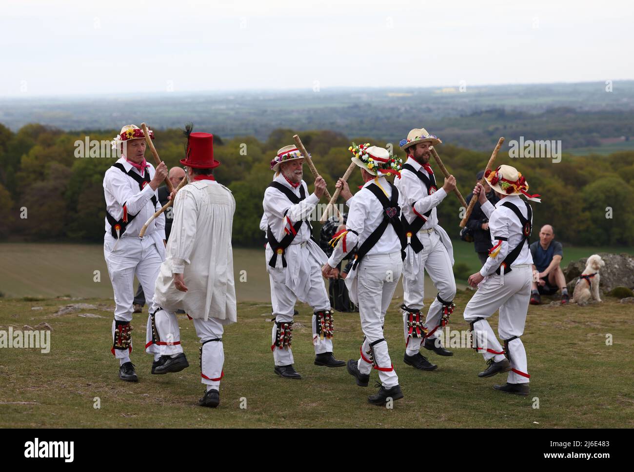 Newtown Linford, Leicestershire, Royaume-Uni. 1st mai 2022. Après une pause de deux ans due à Covid-19, les Leicester Morrismen dansent devant Old John lors des célébrations du jour de mai à Bradgate Park. Credit Darren Staples/Alay Live News. Banque D'Images