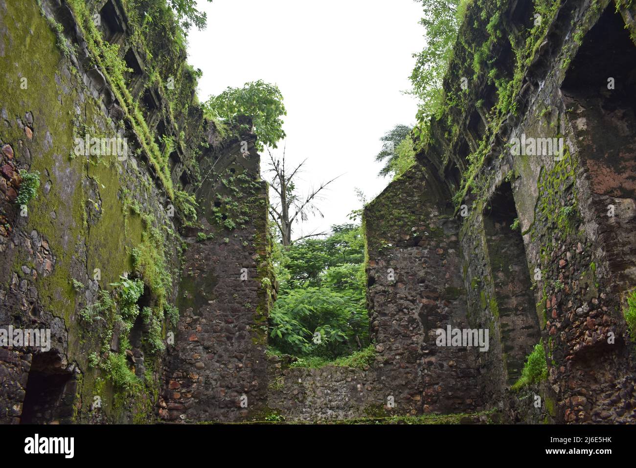 ruines du fort de vasai, maharashtra, inde Banque D'Images