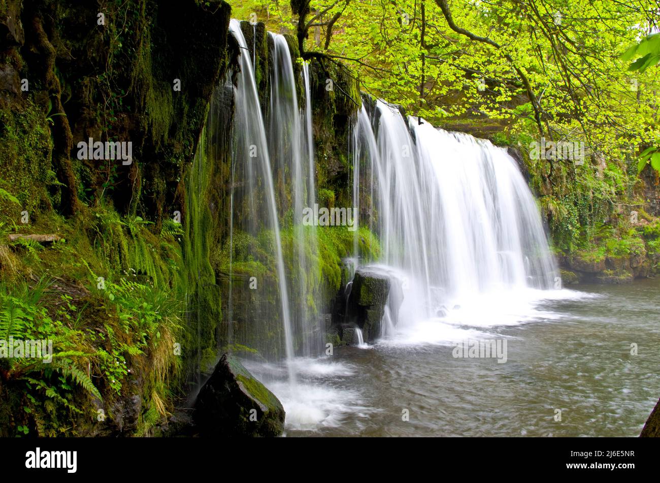 Sgwd Ddwli FIAS, Breacon Beacons, pays de Galles, Royaume-Uni Banque D'Images