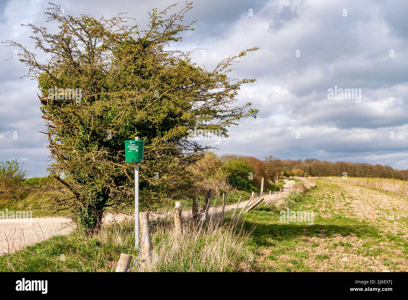 Photographié dans le parc national de South Downs, un mangeoire à oiseaux est en place pour nourrir les plus petits oiseaux des terres agricoles - West Sussex, sud de l'Angleterre, Royaume-Uni. Banque D'Images