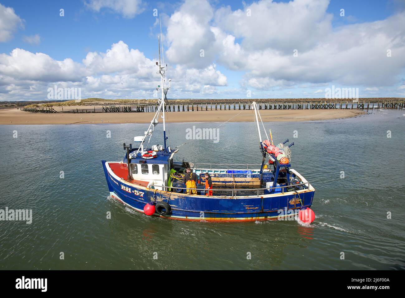 Bateaux de pêche à amble Harbour, Northumberland printemps 2022 Banque D'Images