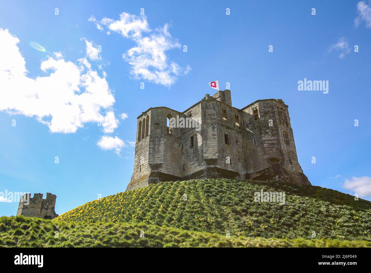 Château de Warkworth à Springtime, Northumberland Banque D'Images