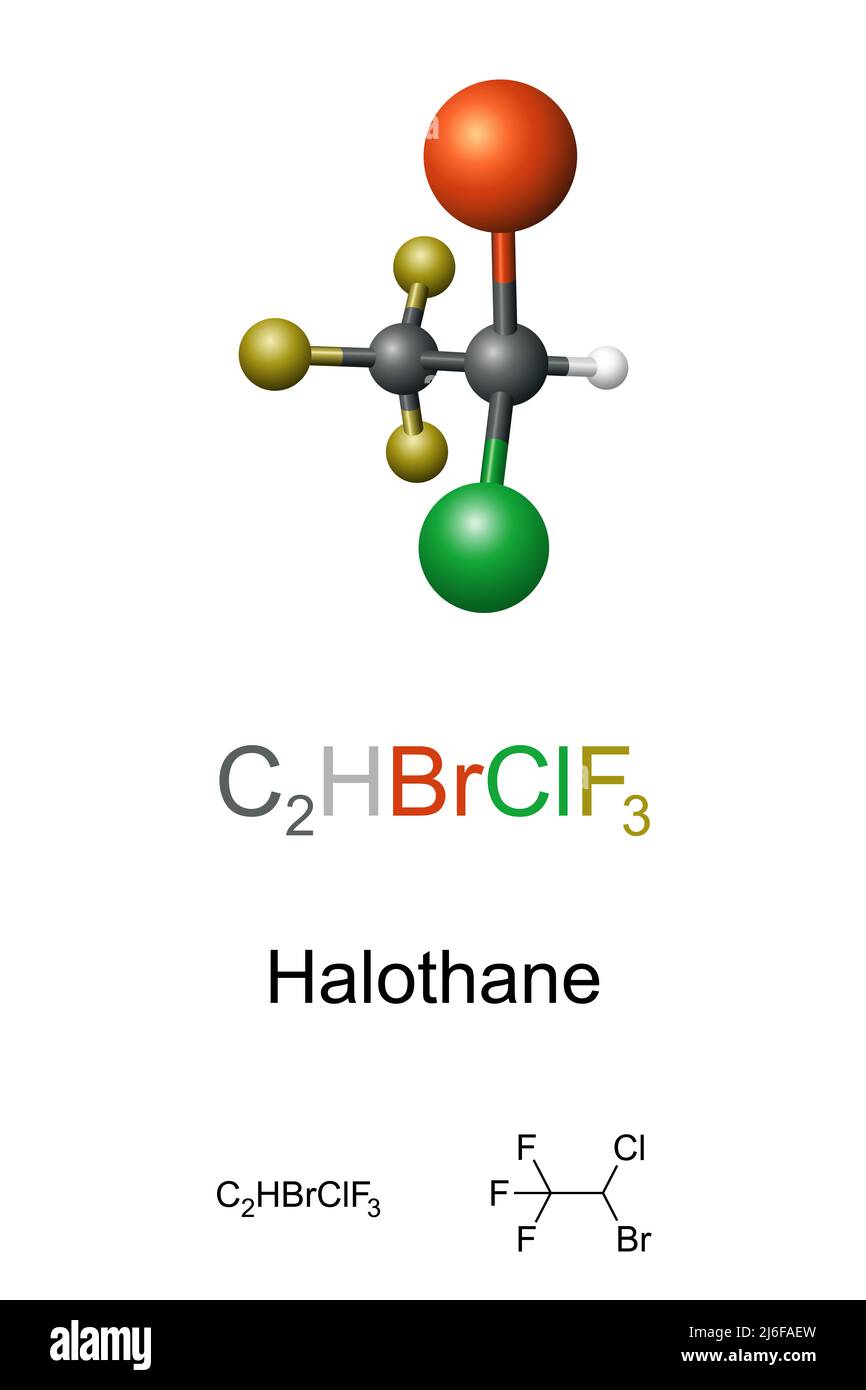 Halothane, modèle à bille et bâton, formule moléculaire et chimique. Anesthésique général, administré par inhalation, utilisé pour induire ou maintenir l'anesthésie. Banque D'Images