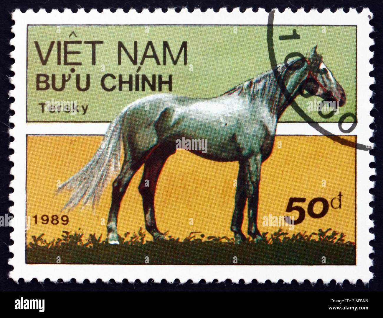 VIETNAM - VERS 1989: Un timbre imprimé au Vietnam montre Tersk Horse, est une race de cheval développé dans les montagnes du Caucase du Nord en Russie, vers Banque D'Images