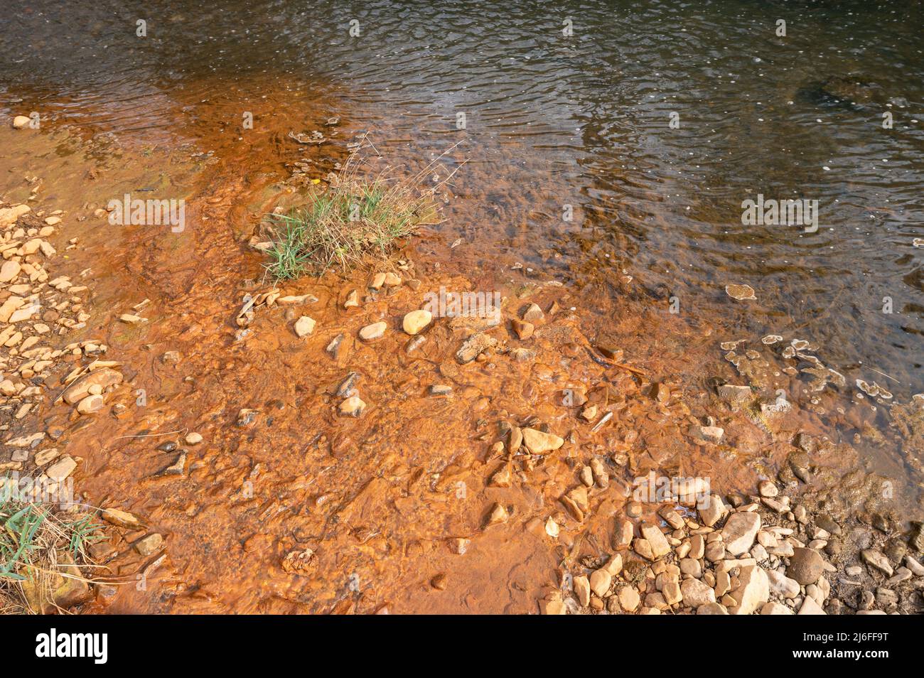 Algues colorées en rouge avec un précipité d'oxyde de fer. Gwendraeth Fawr, Pontyates, Carmarthenshire, pays de Galles, Royaume-Uni Banque D'Images