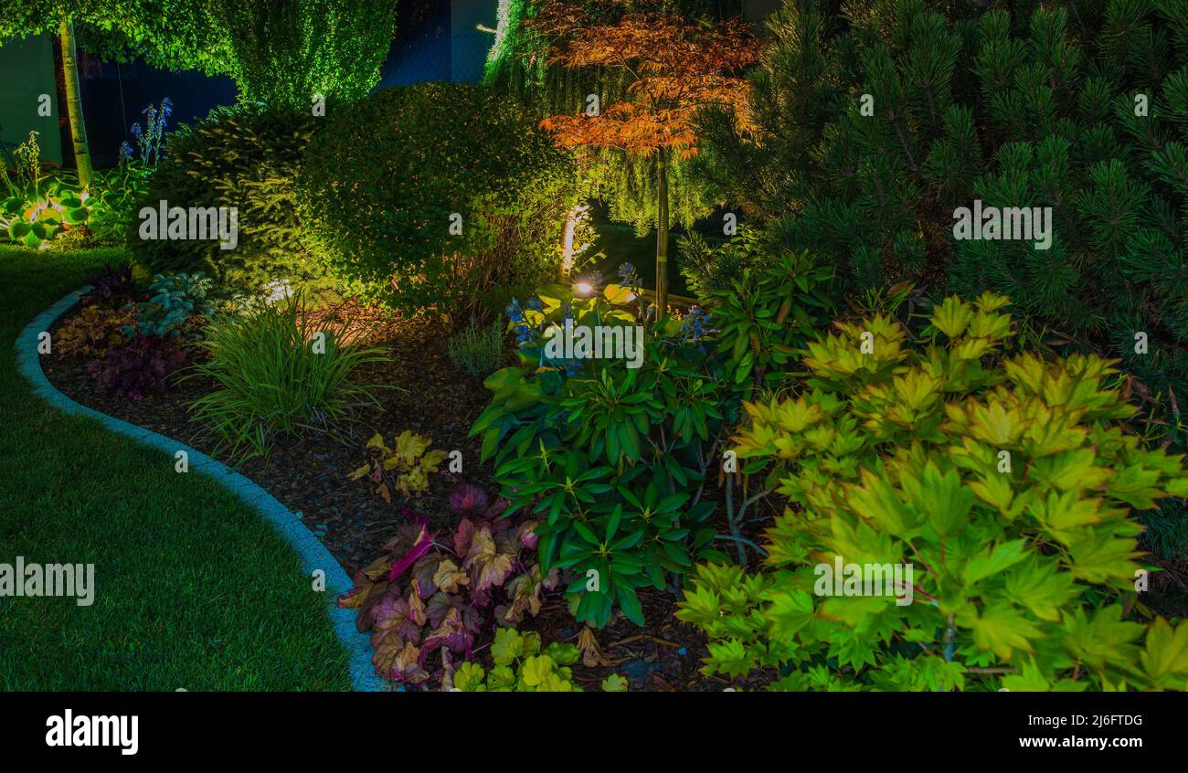 Illuminé par des lumières à DEL jardin résidentiel de Rockery avec plantes matures. Banque D'Images