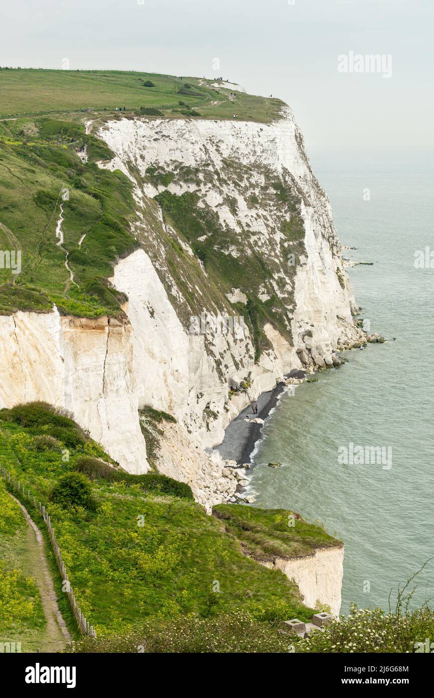 Les célèbres falaises blanches de Douvres à la Manche. Banque D'Images
