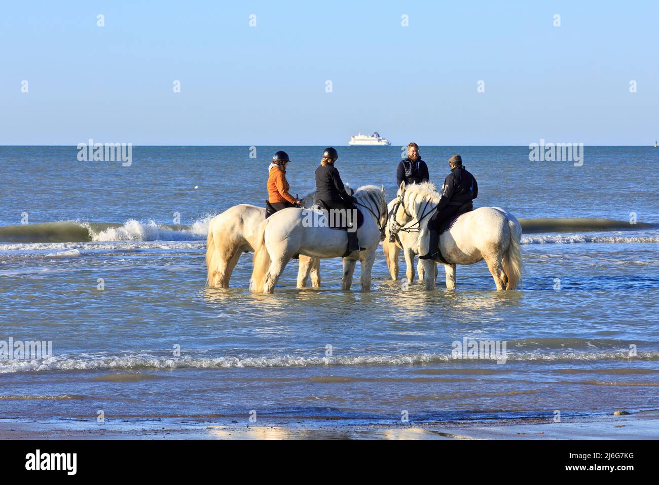 Equitation sur la plage du Cap blanc-nez (Côte d'Opale) dans le pas-de-Calais, France Banque D'Images