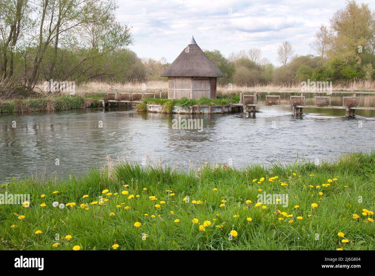 Des pièges à anguilles et des pêcheurs se trouvent à l'abri sur le River Test, à Longstock, à Stockbridge, Hampshire, en Angleterre Banque D'Images